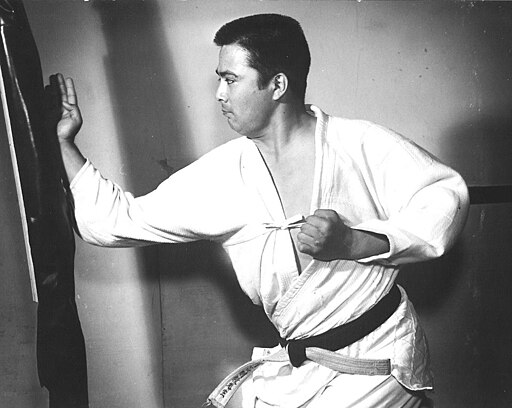 Kenpo Karate practitioner training