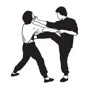 Illustrative image of Wing Chun in practice