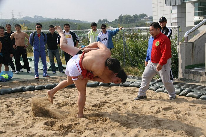 Ssireum wrestler throwing an opponent to the ground