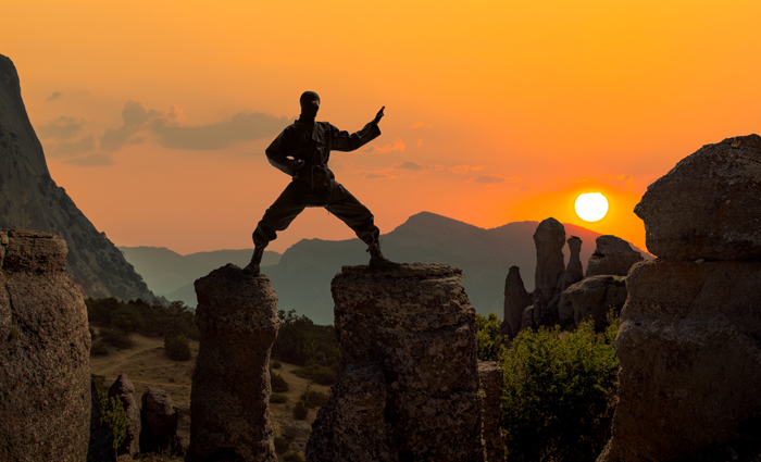 A Ninja, during sunset, posing in a Ninjutsu stance