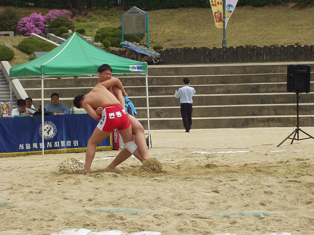 Ssireum wrestlers competing for a position