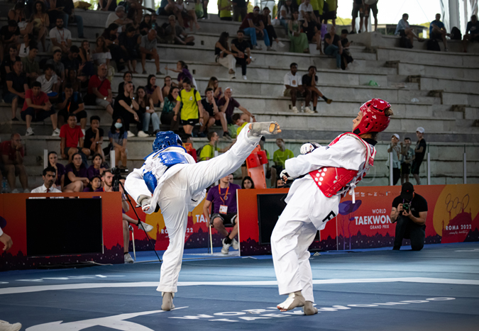 This is a photo of a Taekwondo match