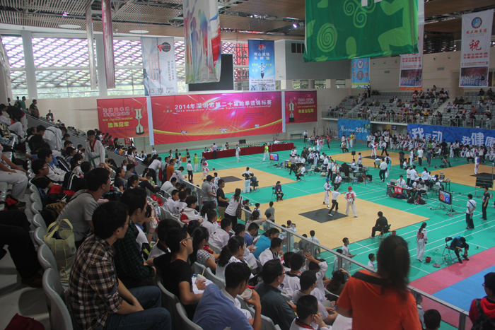 View from the stands in a Taekwondo competition